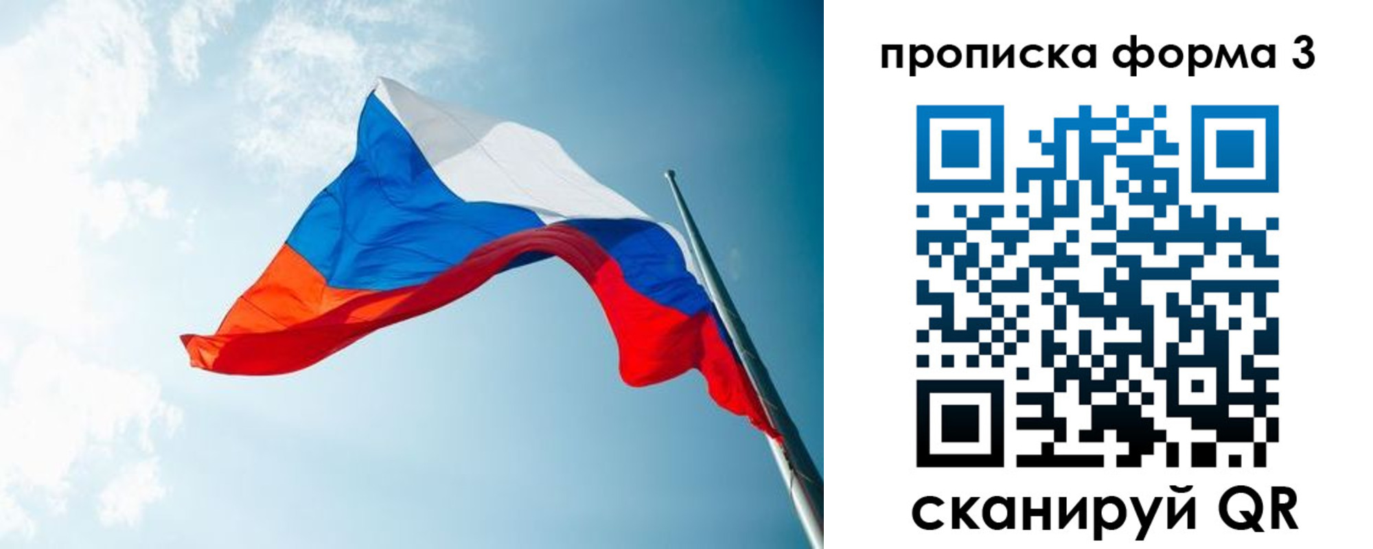 прописка законно в Дубне